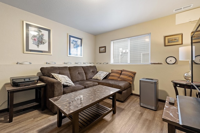 2207 Other, Rapid City, SD 57703 - living area with baseboards, light wood-style flooring, and visible vents