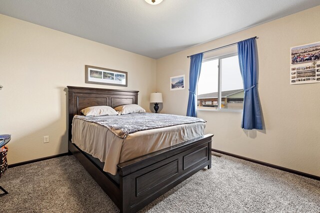 2207 Other, Rapid City, SD 57703 - carpeted bedroom featuring baseboards