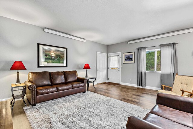 12634 Robins Roost Rd, Hill City, SD 57745 - living room with baseboards and wood finished floors