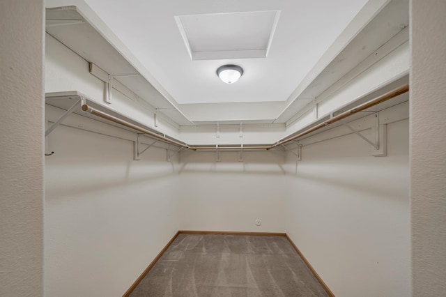 walk in closet with carpet