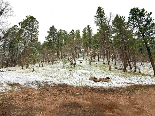 20097 Higgins Gulch Rd, Spearfish, SD 57783 - view of local wilderness