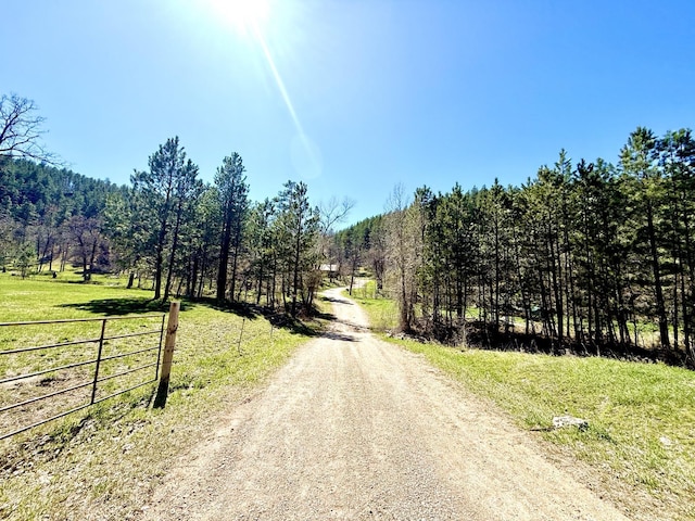20097 Higgins Gulch Rd, Spearfish, SD 57783 - view of road with a rural view and a wooded view