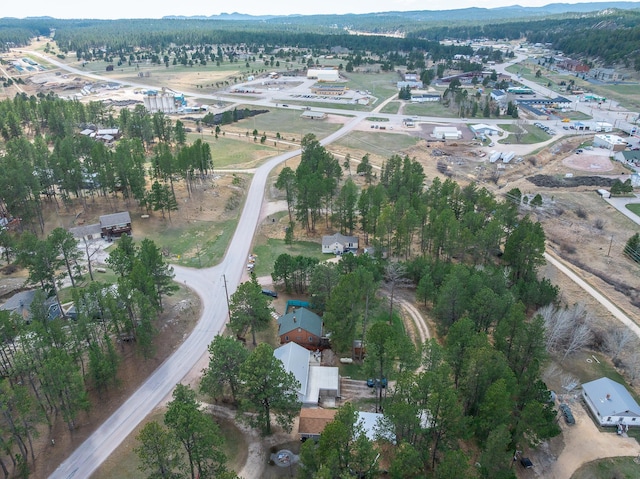 drone / aerial view