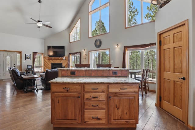 12388 Little Tiger Ln, Hill City, SD 57745 - kitchen featuring a fireplace, a wealth of natural light, a ceiling fan, and high vaulted ceiling