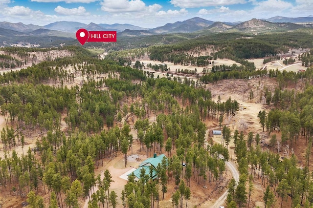 12388 Little Tiger Ln, Hill City, SD 57745 - bird's eye view with a mountain view