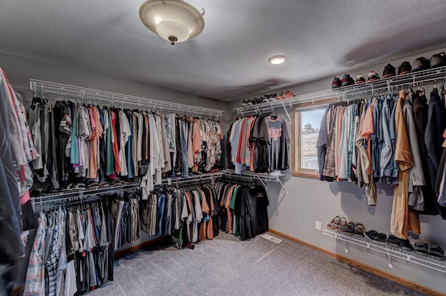5341 Scrub Oak Cir, Rapid City, SD 57702 - spacious closet with carpet flooring and visible vents