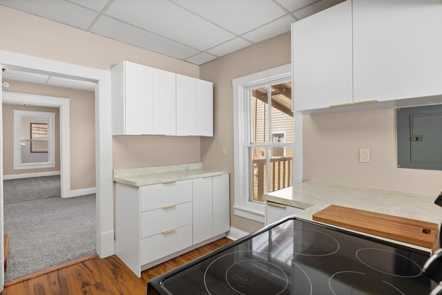 kitchen with modern cabinets, electric panel, electric range, and light countertops