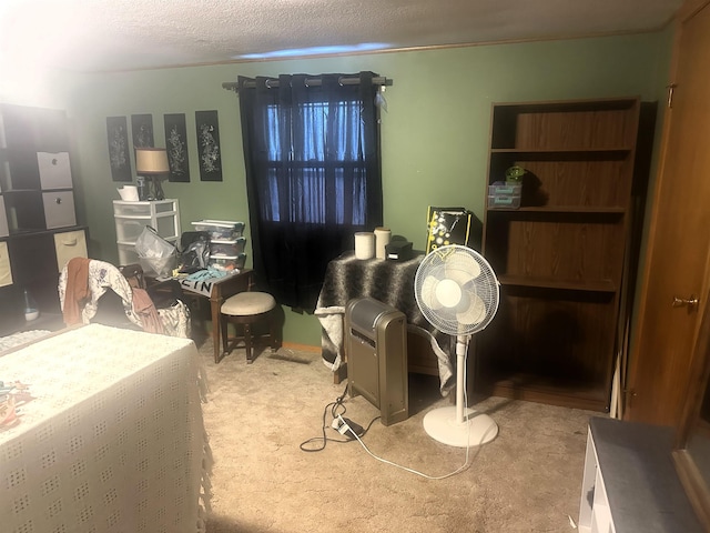 306 10th Ave, Edgemont, SD 57735 - carpeted living area with a textured ceiling