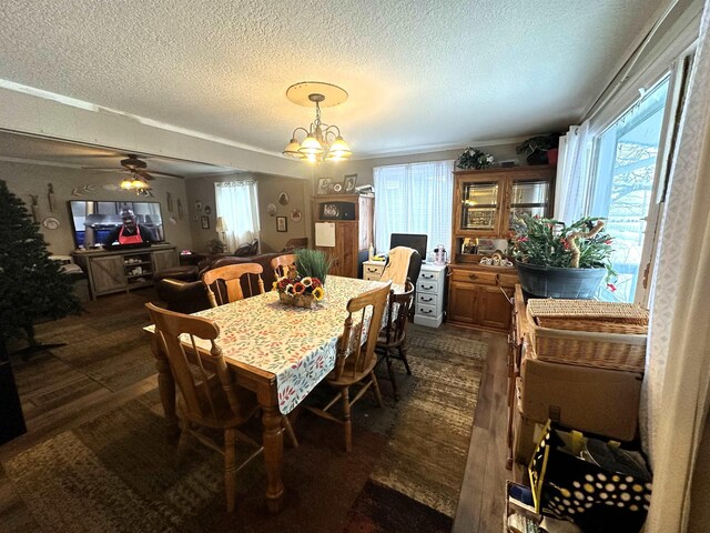 306 10th Ave, Edgemont, SD 57735 - dining room featuring a textured ceiling, a chandelier, and ceiling fan