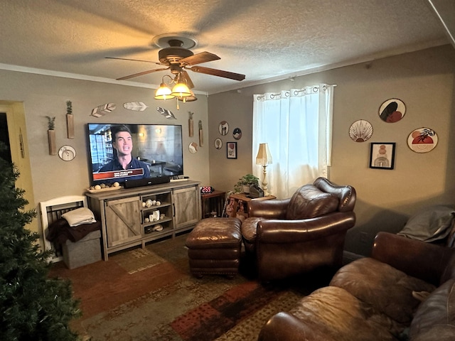306 10th Ave, Edgemont, SD 57735 - living room featuring a ceiling fan, a textured ceiling, crown molding, and dark colored carpet