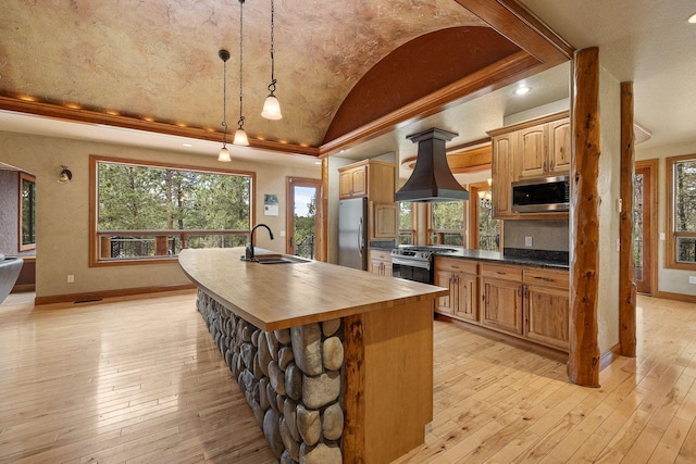 25189 Steckelberg Valley Rd, Custer, SD 57730 - kitchen with island range hood, appliances with stainless steel finishes, a sink, baseboards, and butcher block counters