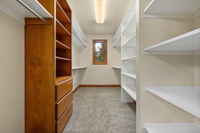 25189 Steckelberg Valley Rd, Custer, SD 57730 - spacious closet with carpet floors