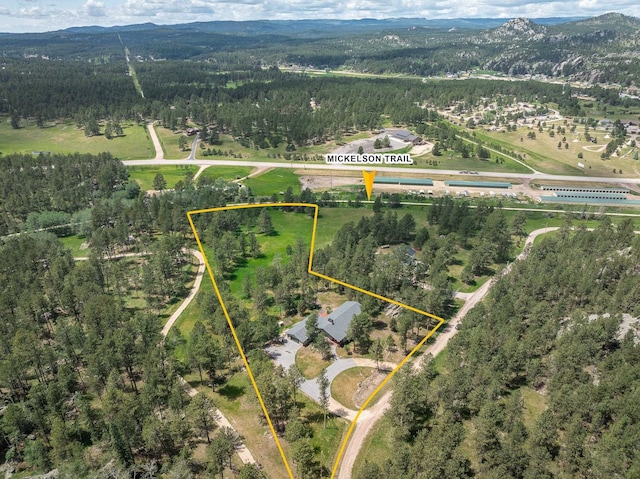 25189 Steckelberg Valley Rd, Custer, SD 57730 - bird's eye view featuring a forest view and a mountain view