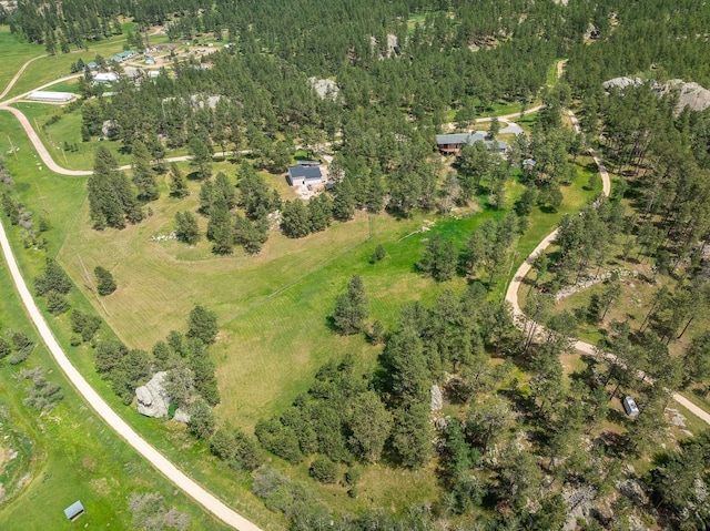 25189 Steckelberg Valley Rd, Custer, SD 57730 - aerial view with a view of trees