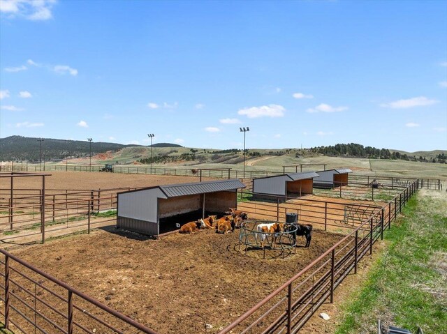 view of yard featuring an outdoor structure, an exterior structure, and a rural view