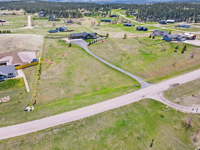 drone / aerial view