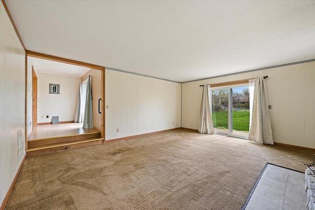 1112 Elkhorn St, Belle Fourche, SD 57717 - carpeted empty room with wooden walls, baseboards, and visible vents