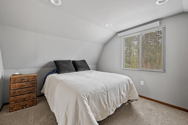 22773 Sunnyside Gulch Rd, Silver City, SD 57702 - bedroom featuring baseboards, vaulted ceiling, and carpet