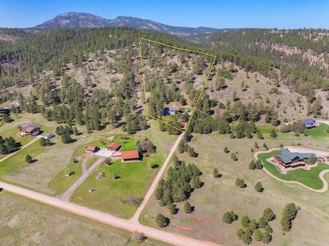 birds eye view of property featuring a view of trees and a mountain view