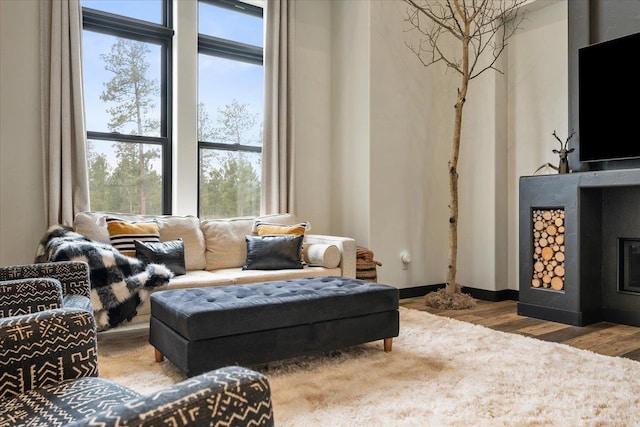 living area with wood finished floors