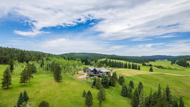 aerial view of sparsely populated area featuring a forest