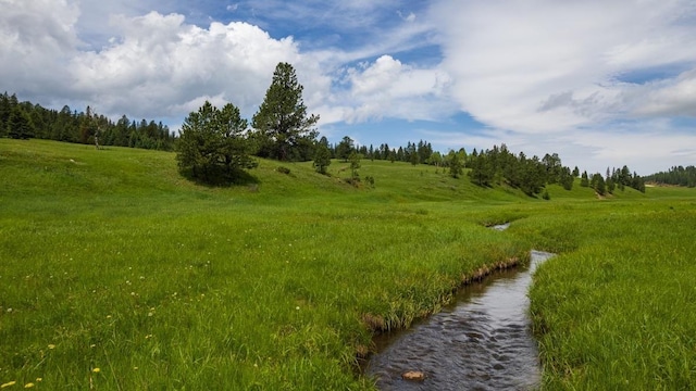 view of nature