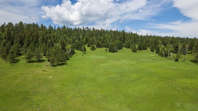view of woods
