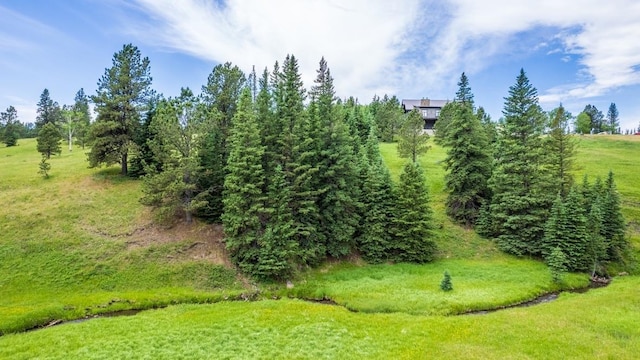 view of undeveloped land