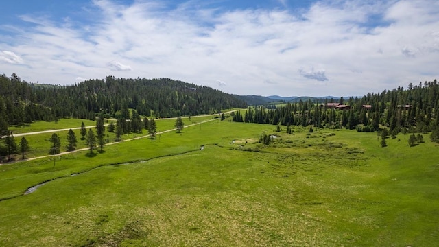 view of home's community featuring a mountain view and a wooded view