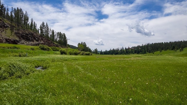 view of undeveloped land featuring rural landscape