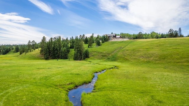 view of local wilderness