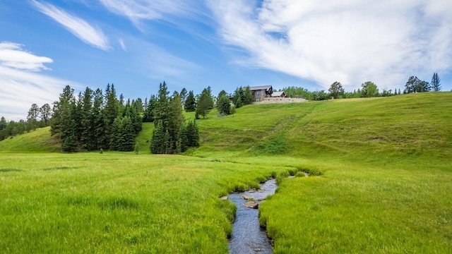 view of local wilderness