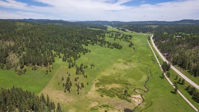 aerial overview of property's location with a forest and a mountain backdrop