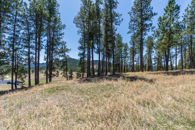 12584 Mills Ranch Rd, Hill City, SD 57745