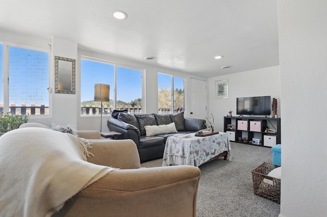 101 E Summit St, Lead, SD 57754 - carpeted living area featuring recessed lighting