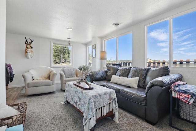 101 E Summit St, Lead, SD 57754 - view of living room