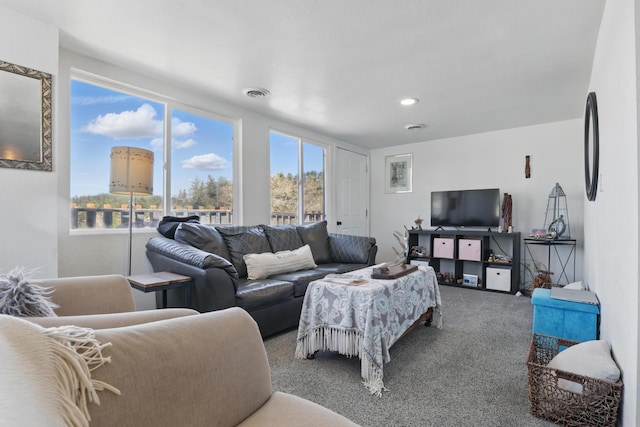 101 E Summit St, Lead, SD 57754 - living room featuring carpet flooring and recessed lighting
