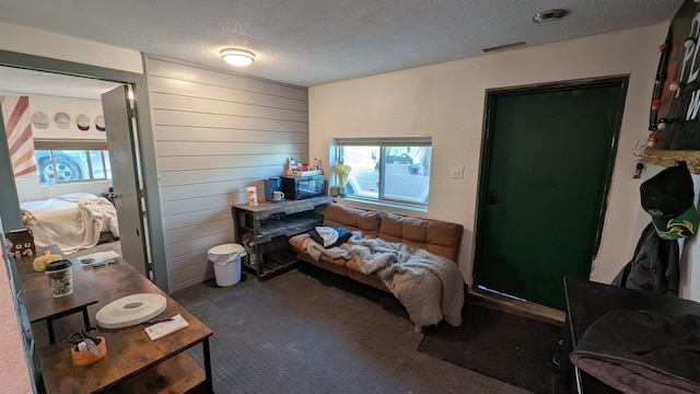 125 S Galena St, Lead, SD 57754 - bedroom with a textured ceiling, carpet, and wood walls