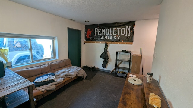 125 S Galena St, Lead, SD 57754 - living room with a textured ceiling