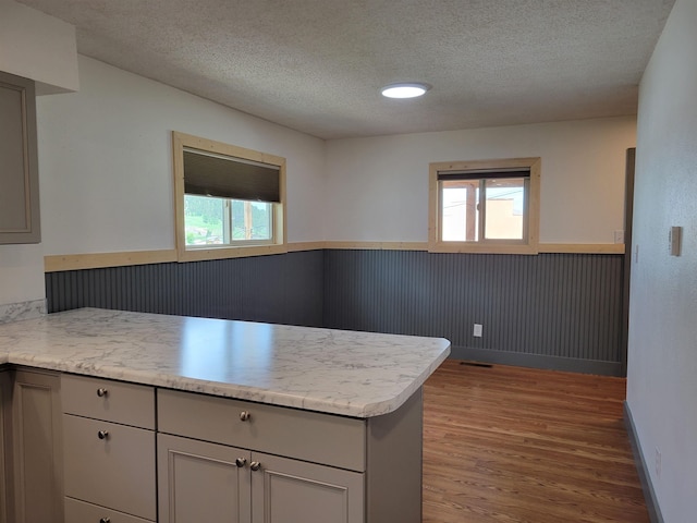125 S Galena St, Lead, SD 57754 - kitchen with wainscoting, a peninsula, a textured ceiling, wood finished floors, and gray cabinetry