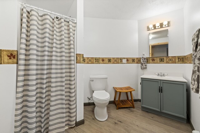 12990 Old Hill City Rd, Keystone, SD 57751 - full bath featuring wood finished floors, toilet, vanity, and a shower with shower curtain