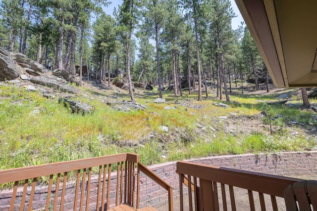 12990 Old Hill City Rd, Keystone, SD 57751 - view of yard