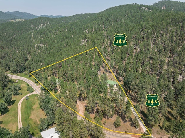 12990 Old Hill City Rd, Keystone, SD 57751 - view of property location with a mountainous background, a forest, and property boundaries highlighted