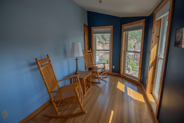 10 Centennial Ave, Deadwood, SD 57732 - living area with vaulted ceiling, wood finished floors, and baseboards