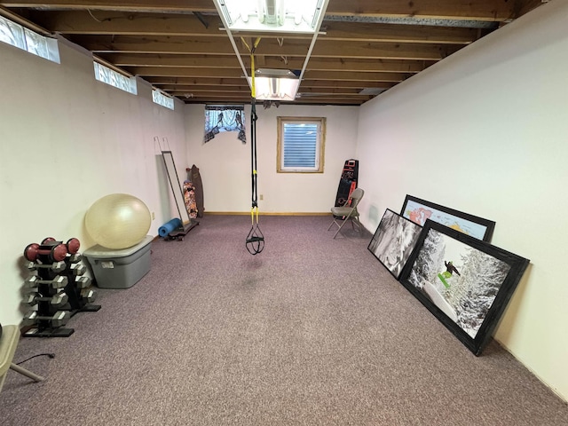 exercise area with carpet