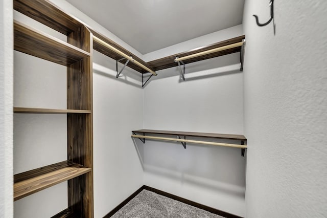 1234 Juneau Dr, Box Elder, SD 57719 - walk in closet with carpet