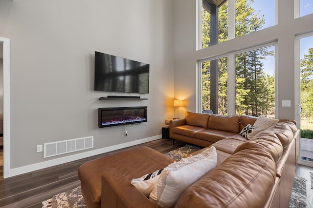 21271 Ridgewood Trl, Lead, SD 57754 - living room featuring baseboards, a towering ceiling, wood finished floors, plenty of natural light, and a glass covered fireplace