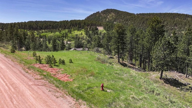 TBD Centennial Vista Ave, Spearfish, SD 57783