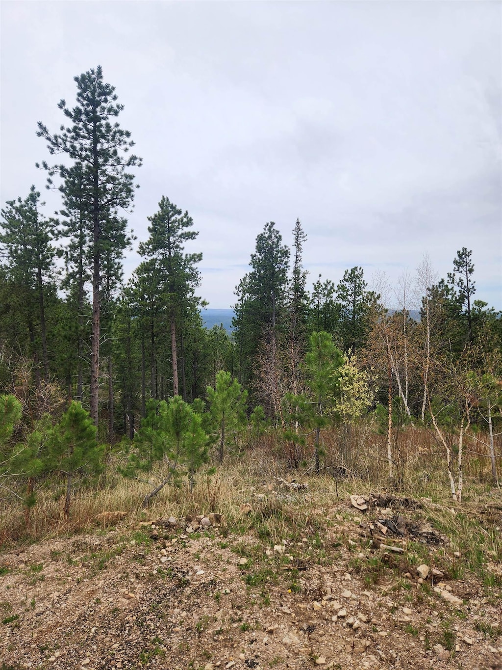 14 Aventure Loop, Lead, SD 57754