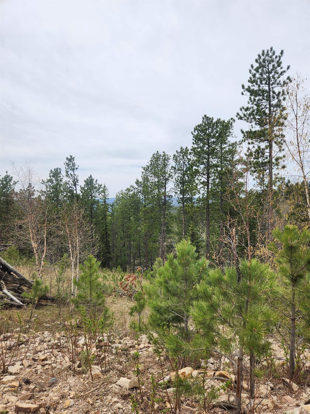 14 Aventure Loop, Lead, SD 57754